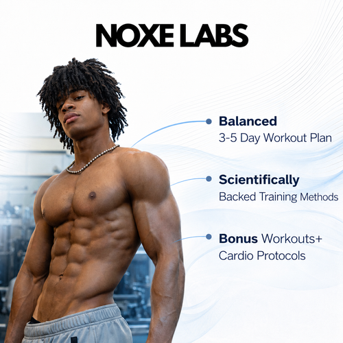 GYM PLAN